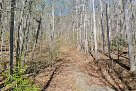 12 3 Top Drop Ln, Sylva, NC 28779 photo 2