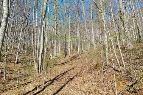 12 3 Top Drop Ln, Sylva, NC 28779 photo 4