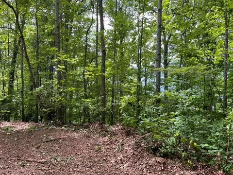 0 Oak Hill Dr, Sylva, NC 28779 photo 4