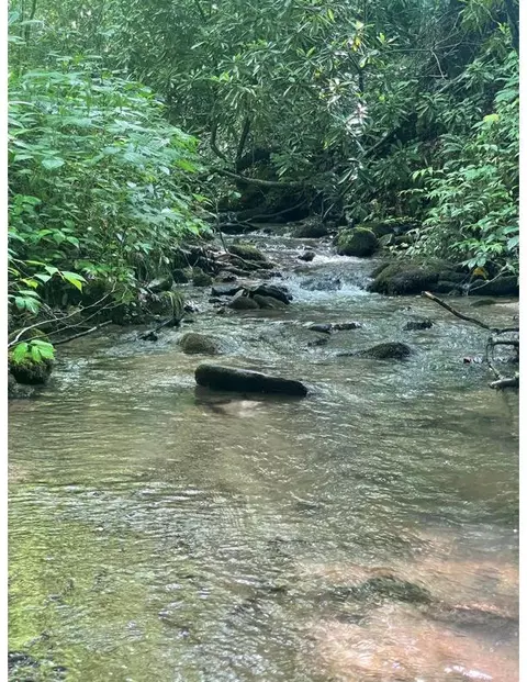 2406 Sawmill Creek Rd, Bryson City, NC 28713