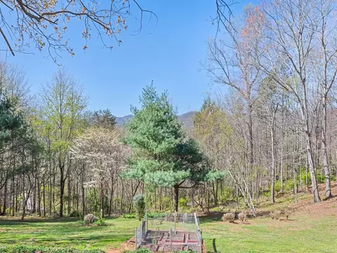 Exterior - 817 Ferguson Cove Loop, Clyde, NC 28721 photo 5 of 21