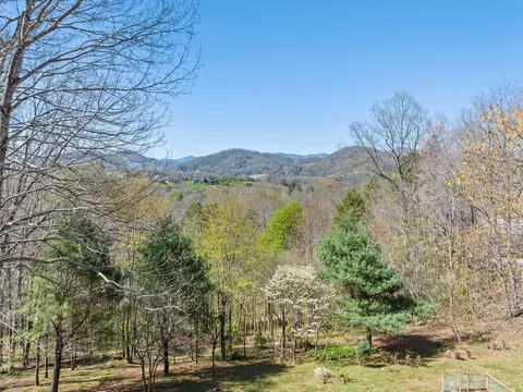 Exterior - 817 Ferguson Cove Loop, Clyde, NC 28721 photo 3 of 21