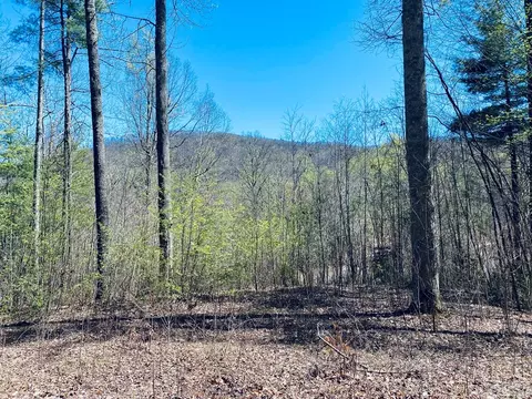 lot84 Garnet Rd, Sylva, NC 28779 photo 3