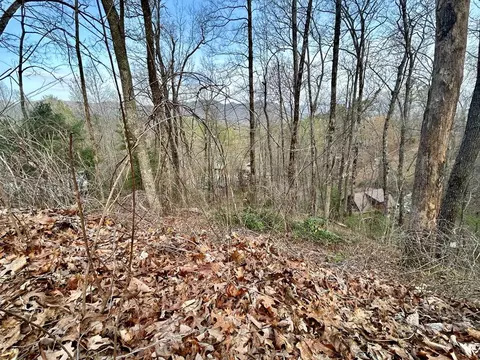 lot6 Biltmore Cir, Bryson City, NC 28713