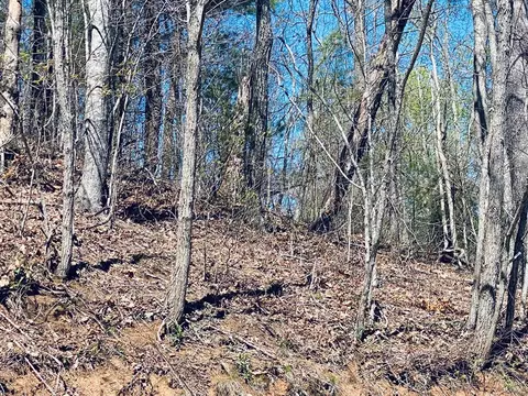 lot79 Garnet Rd, Sylva, NC 28779 photo 15