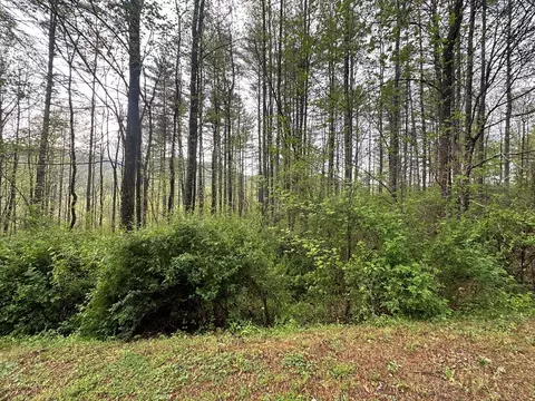 lot31 Cove At Flat Gap, Cullowhee, NC 28723