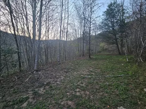 9 Tuts Terrace, Sylva, NC 28779 photo 1
