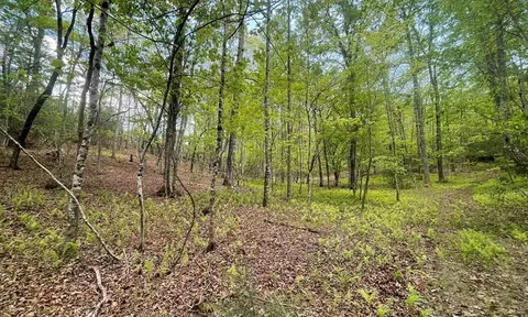 319 Mcgaha Rd, Franklin, NC 28734
