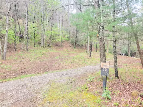 120 Tumbling Falls Dr, Canton, NC 28716