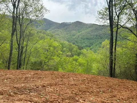 lot8 Blackberry Bnd, Bryson City, NC 28713