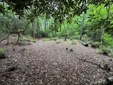 00 Diamond Creek Rd, Other, NC 28747