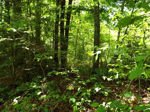 000 Mockingbird Ln, Sylva, NC 28779 photo 10