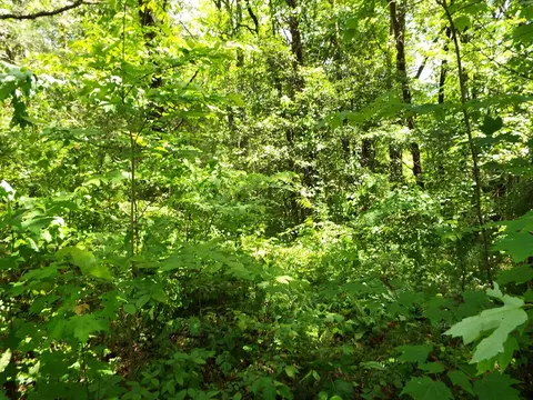 000 Mockingbird Ln, Sylva, NC 28779 photo 4
