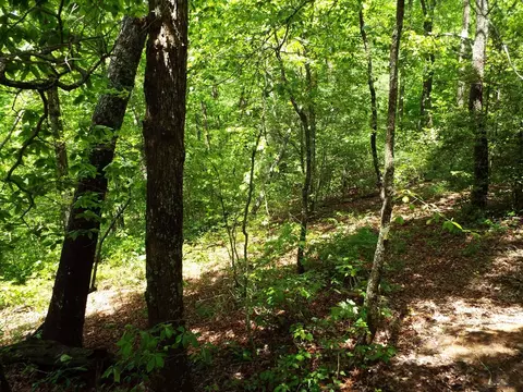 000 Mockingbird Ln, Sylva, NC 28779 photo 25