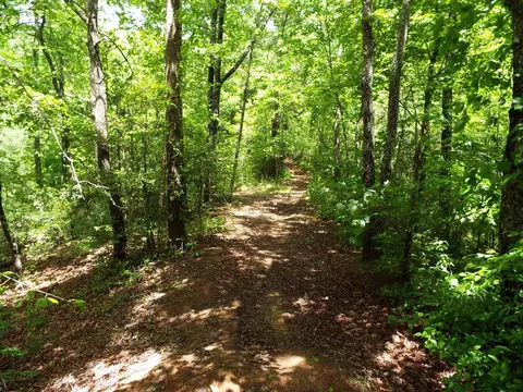 000 Mockingbird Ln, Sylva, NC 28779 photo 26