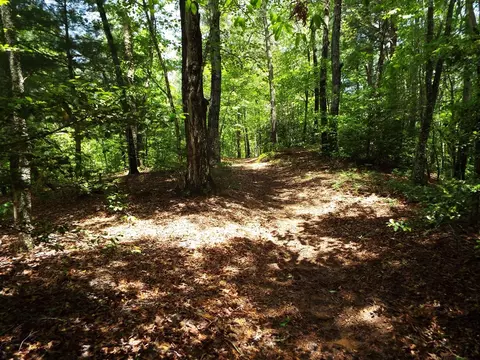 000 Mockingbird Ln, Sylva, NC 28779 photo 19