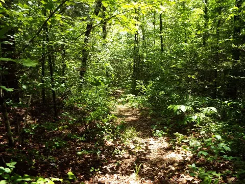 000 Mockingbird Ln, Sylva, NC 28779 photo 5