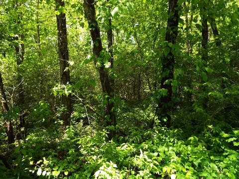 000 Mockingbird Ln, Sylva, NC 28779 photo 30