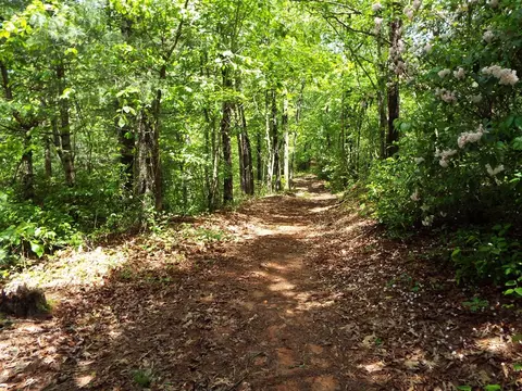 000 Mockingbird Ln, Sylva, NC 28779 photo 22