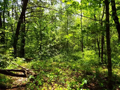 000 Mockingbird Ln, Sylva, NC 28779 photo 3