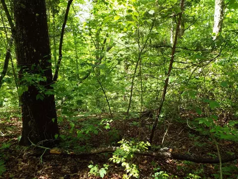000 Mockingbird Ln, Sylva, NC 28779