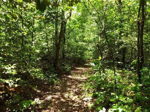 000 Mockingbird Ln, Sylva, NC 28779 photo 8
