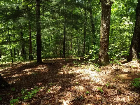 000 Mockingbird Ln, Sylva, NC 28779 photo 21