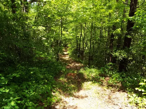 000 Mockingbird Ln, Sylva, NC 28779 photo 31