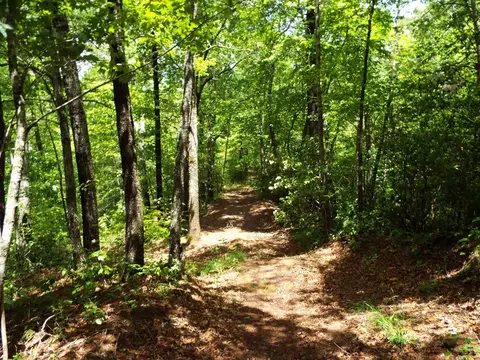 000 Mockingbird Ln, Sylva, NC 28779 photo 24
