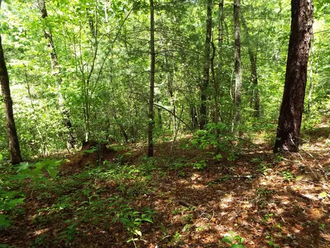 000 Mockingbird Ln, Sylva, NC 28779 photo 23