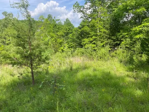 00 Rickman Crk, Franklin, NC 28734