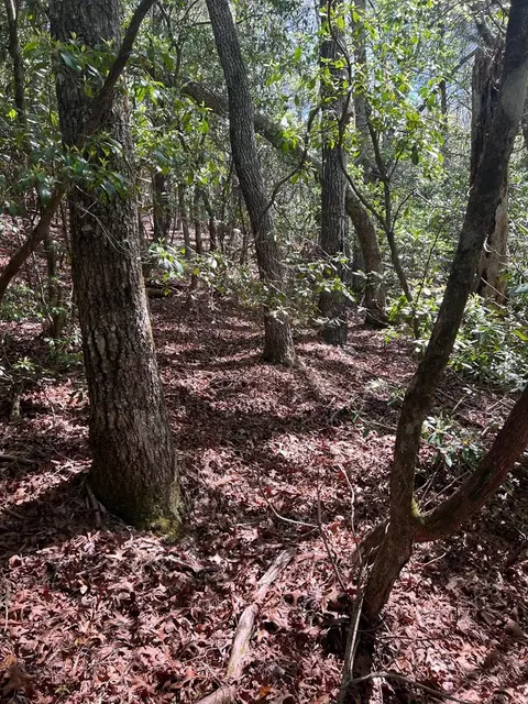 lot1 Highlands Pass, Franklin, NC 28734