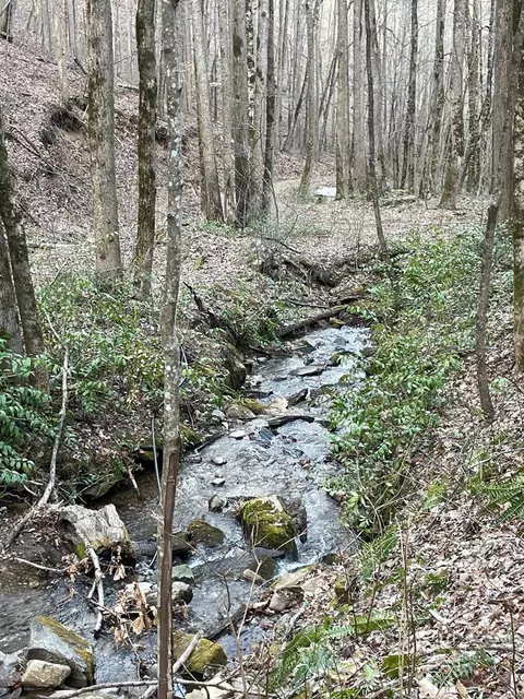 00 White Oaks Rd, Bryson City, NC 28713