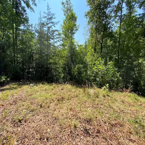 lot3 Red Dog Ln, Whittier, NC 28719