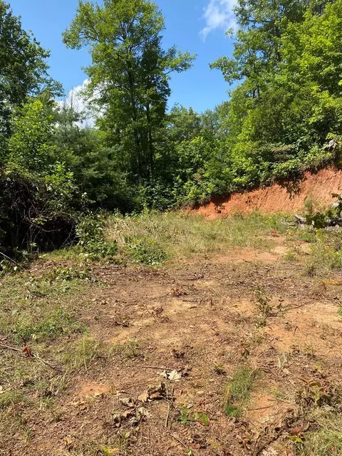 lot4 Red Dog Ln, Whittier, NC 28719