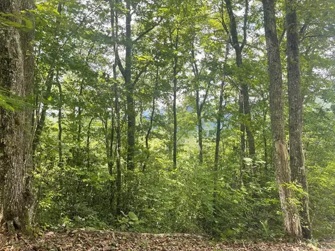 500 Fernwood Dr, Bryson City, NC 28713