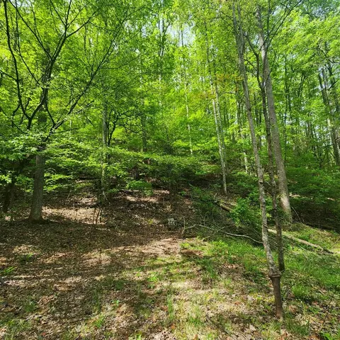 165 Holly Ln, Franklin, NC 28734