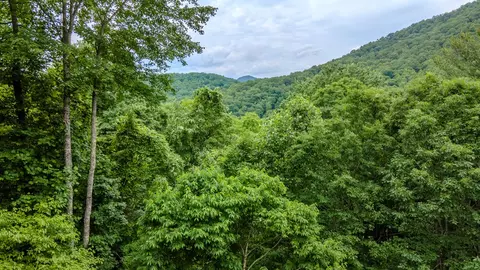 Other - 1562 Garnet Rd, Sylva, NC 28779 photo 11 of 29