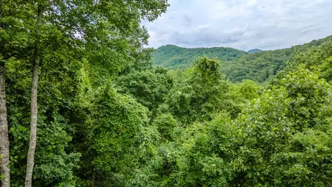 Other - 1562 Garnet Rd, Sylva, NC 28779 photo 19 of 29