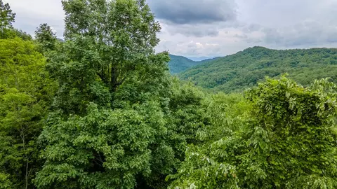 Other - 1562 Garnet Rd, Sylva, NC 28779 photo 18 of 29