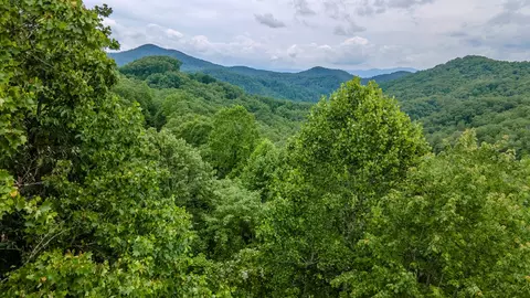 Other - 1562 Garnet Rd, Sylva, NC 28779 photo 3 of 29