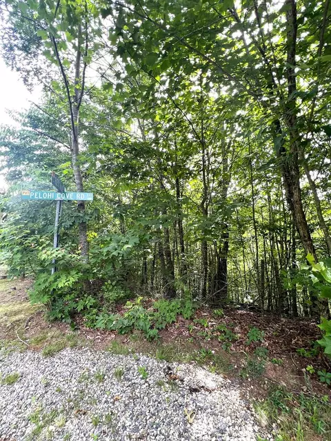 0 Red Hill Rd, Bryson City, NC 28713