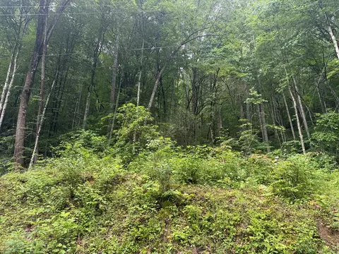 0 Corbin Hills Dr, Franklin, NC 28734