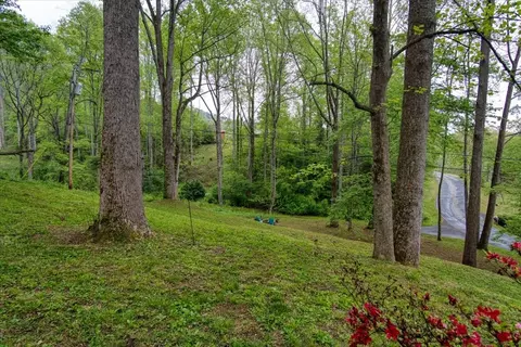 Exterior - 1004 Buchanan Loop Rd, Webster, NC 28788 photo 5 of 10