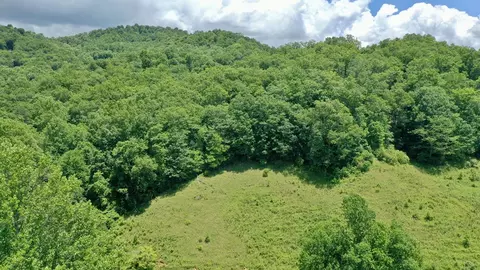 2087 Henry Rd, Sylva, NC 28779 photo 21