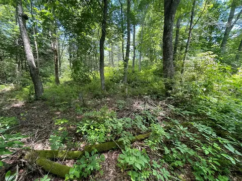 297 Brahman Ln, Cullowhee, NC 28723 photo 4