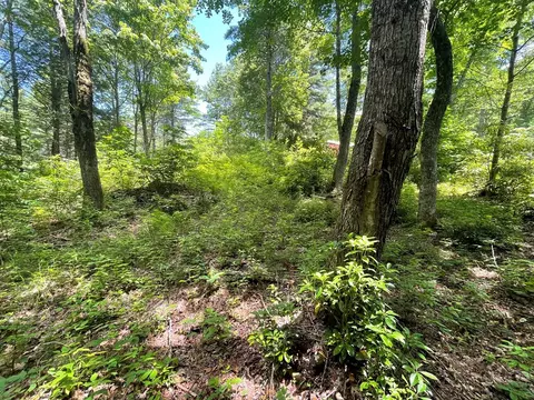 297 Brahman Ln, Cullowhee, NC 28723 photo 5