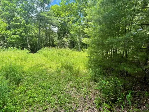 297 Brahman Ln, Cullowhee, NC 28723 photo 3