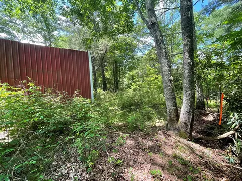 297 Brahman Ln, Cullowhee, NC 28723 photo 8