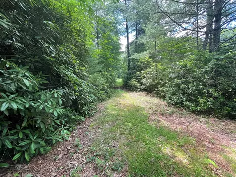 tbd Brahman Ln, Cullowhee, NC 28723 photo 5